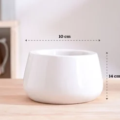 Tulip Fantasy Bowl Ceramic Planter