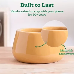 Tulip Fantasy Bowl Ceramic Planter