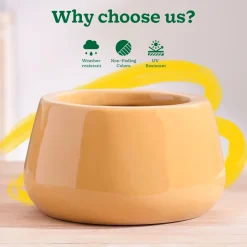 Tulip Fantasy Bowl Ceramic Planter