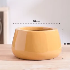 Tulip Fantasy Bowl Ceramic Planter