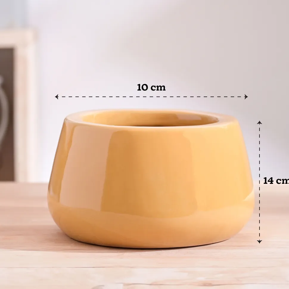 Tulip Fantasy Bowl Ceramic Planter