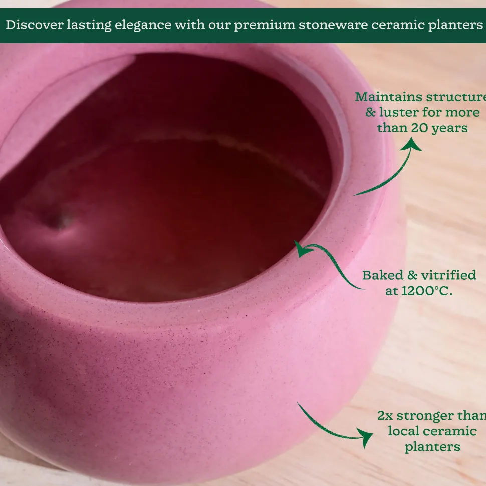 Tulip Fantasy Bowl Ceramic Planter