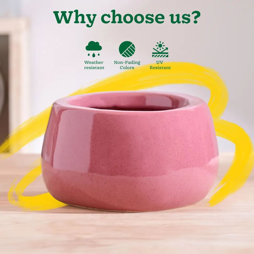 Tulip Fantasy Bowl Ceramic Planter