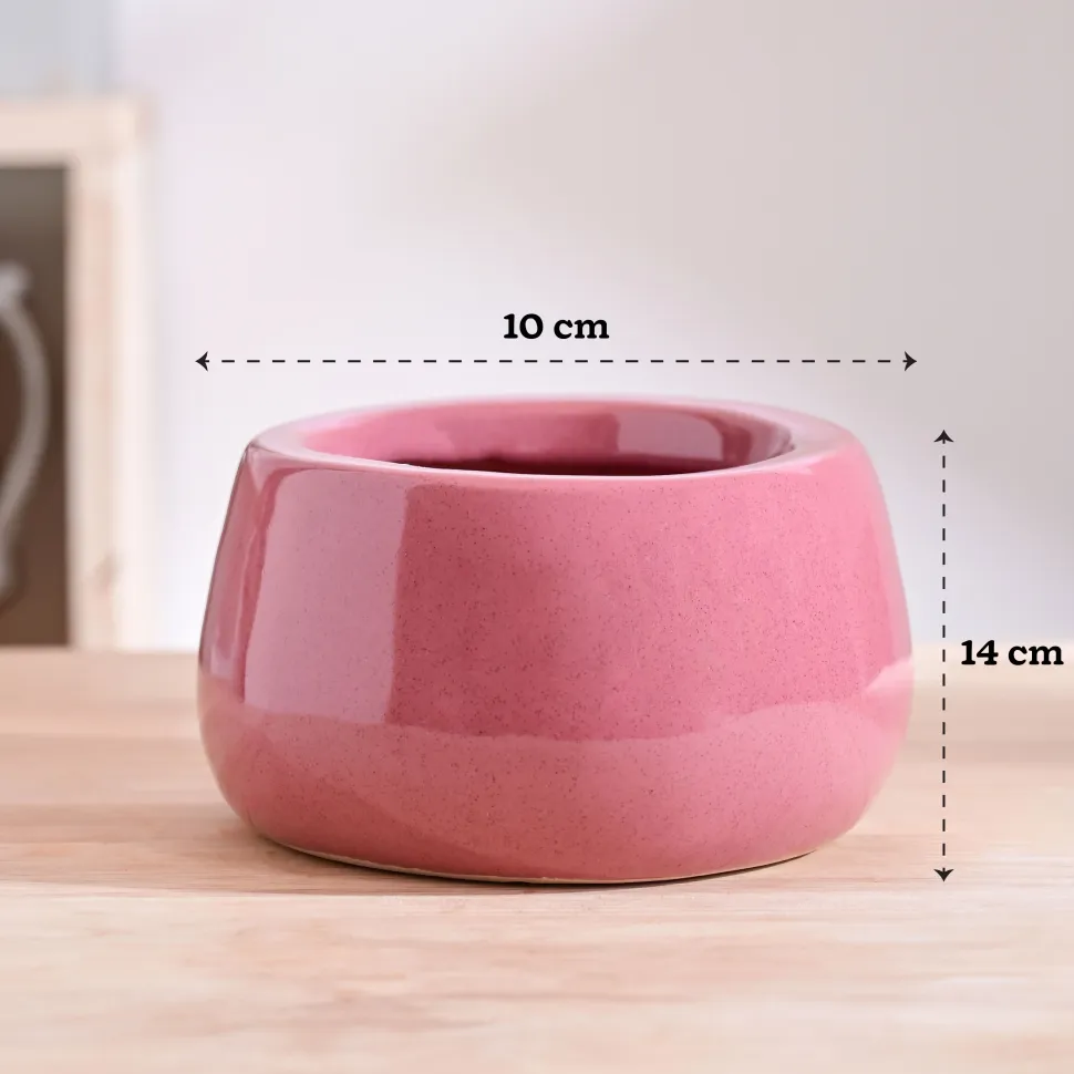 Tulip Fantasy Bowl Ceramic Planter