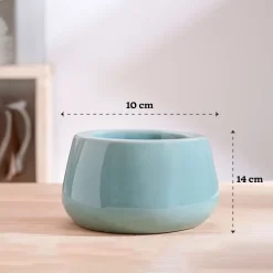 Tulip Fantasy Bowl Ceramic Planter