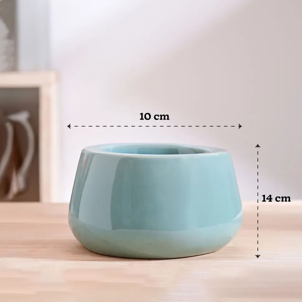 Tulip Fantasy Bowl Ceramic Planter