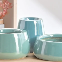 Tulip Fantasy Bundle - Aqua Green