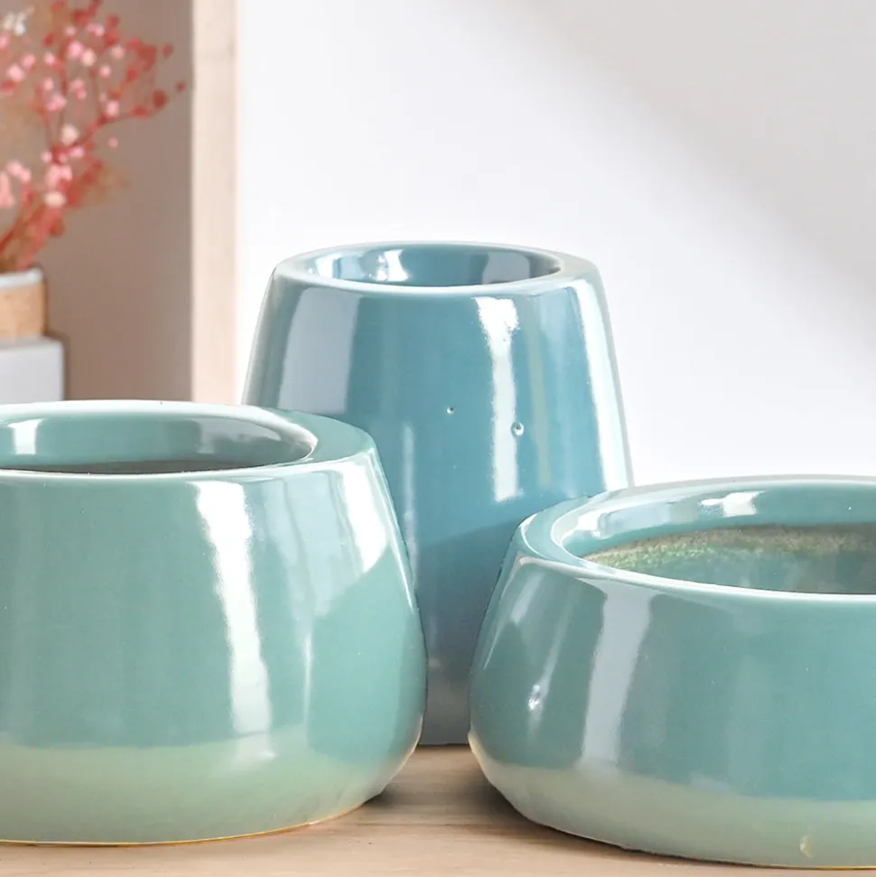 Tulip Fantasy Bundle - Aqua Green