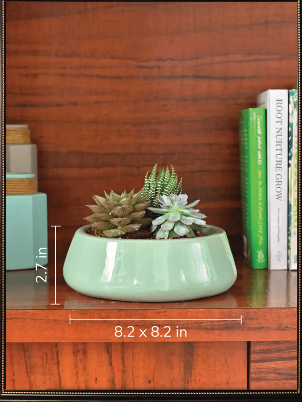 Tulip Fantasy Bundle - Aqua Green
