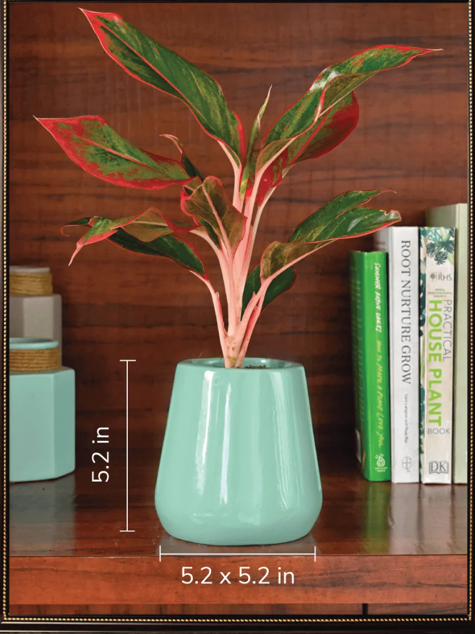 Tulip Fantasy Bundle - Aqua Green