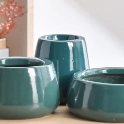Tulip Fantasy Bundle - Dark Green