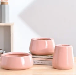 Tulip Fantasy Bundle - Light Pink