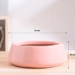 Tulip Fantasy Bundle - Light Pink