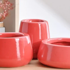 Tulip Fantasy Bundle - Light Red