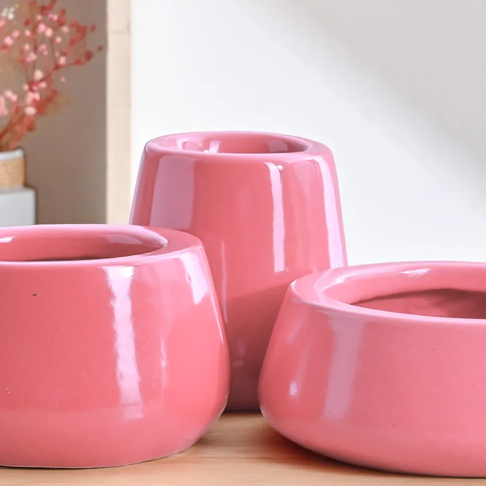 Tulip Fantasy Bundle - Magenta