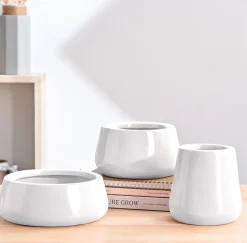 Tulip Fantasy Bundle - White