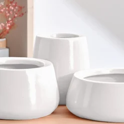 Tulip Fantasy Bundle - White