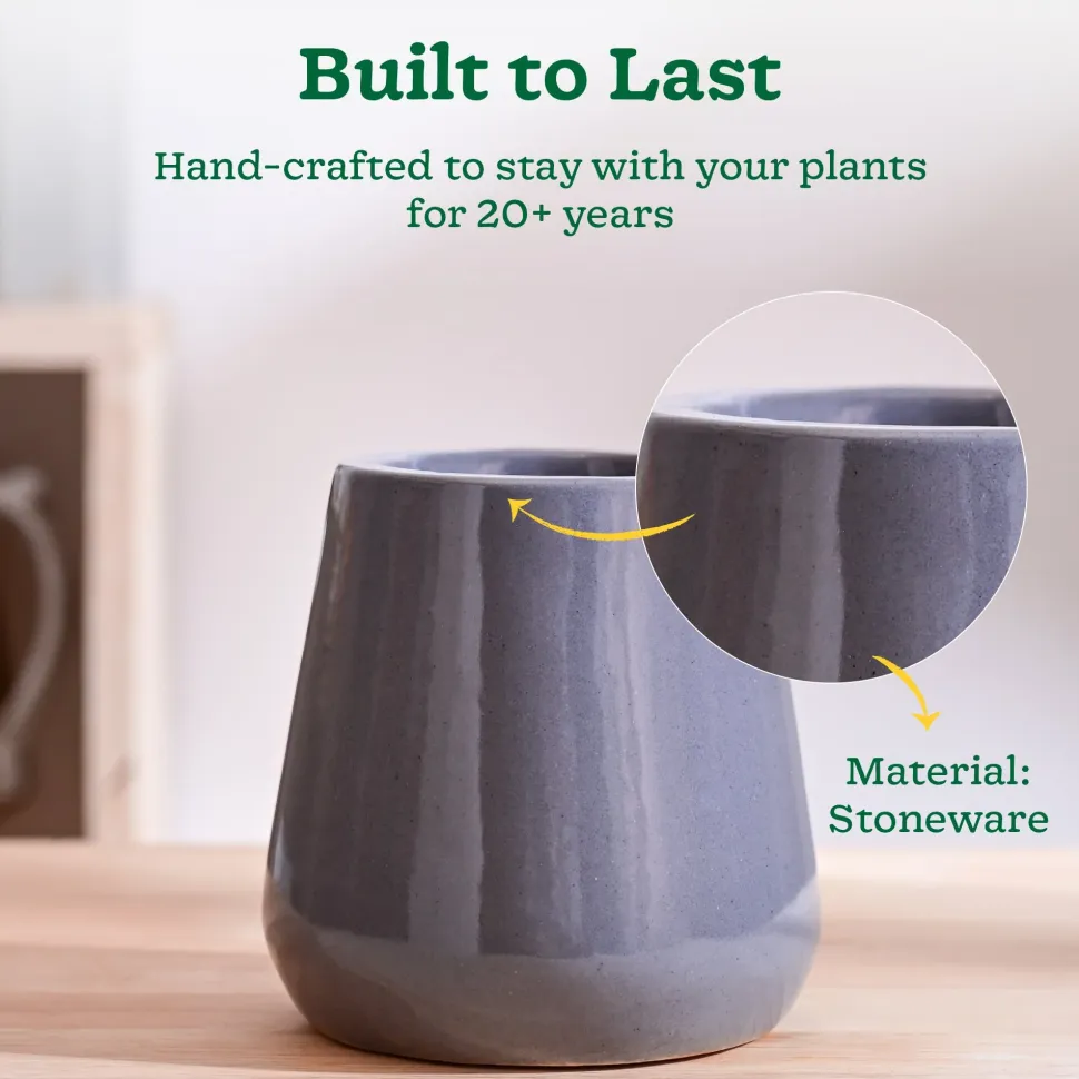 Tulip Fantasy Extra Small Ceramic Planter