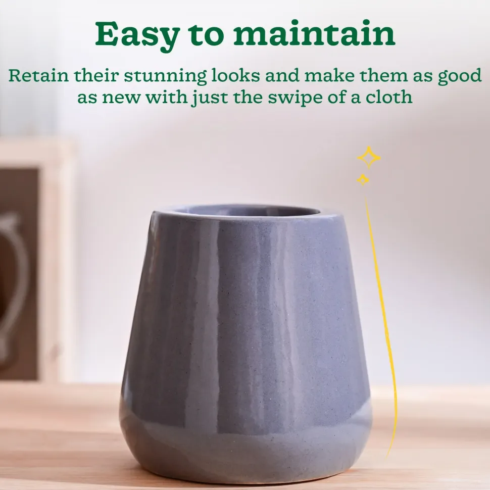 Tulip Fantasy Extra Small Ceramic Planter