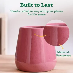 Tulip Fantasy Extra Small Ceramic Planter