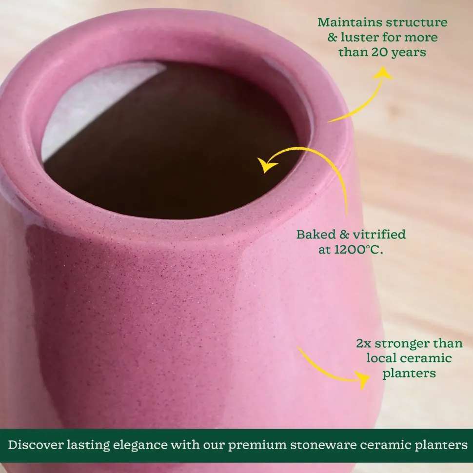 Tulip Fantasy Extra Small Ceramic Planter