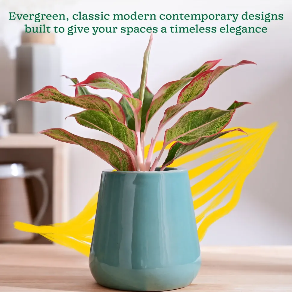 Tulip Fantasy Extra Small Ceramic Planter