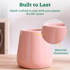 Tulip Fantasy Extra Small Ceramic Planter