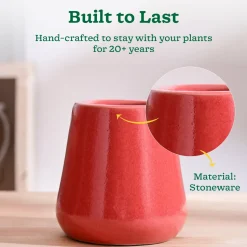 Tulip Fantasy Extra Small Ceramic Planter