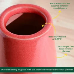 Tulip Fantasy Extra Small Ceramic Planter