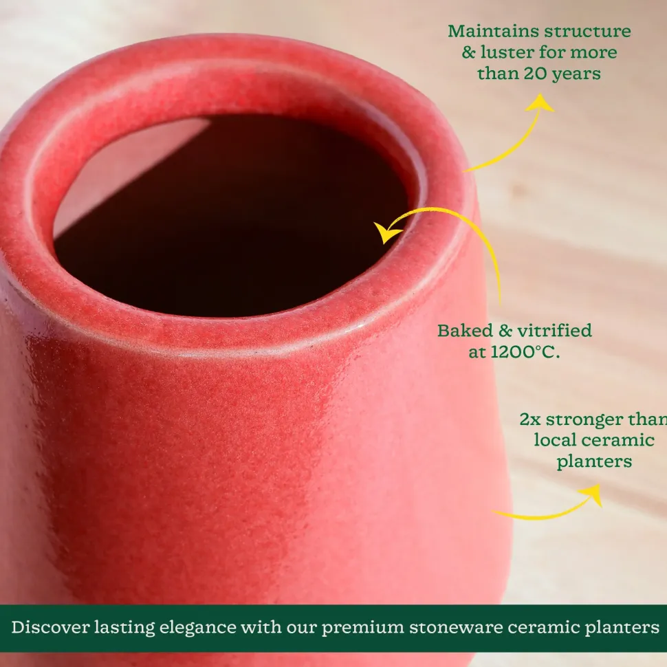 Tulip Fantasy Extra Small Ceramic Planter