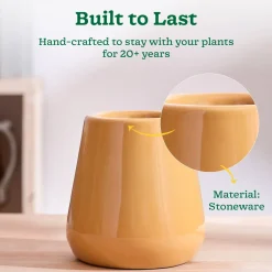 Tulip Fantasy Extra Small Ceramic Planter