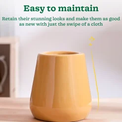 Tulip Fantasy Extra Small Ceramic Planter