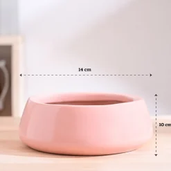 Tulip Fantasy Flat Ceramic Planter