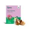 Tulip Van Eijk Bulbs