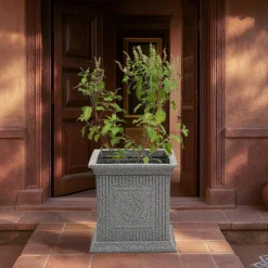 Tulsi Pot for Home