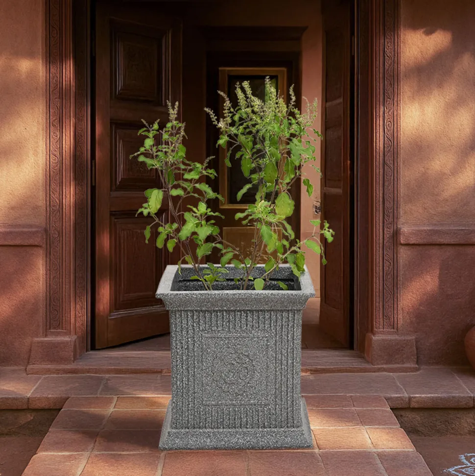 Tulsi Pot for Home