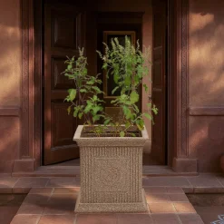 Tulsi Pot for Home