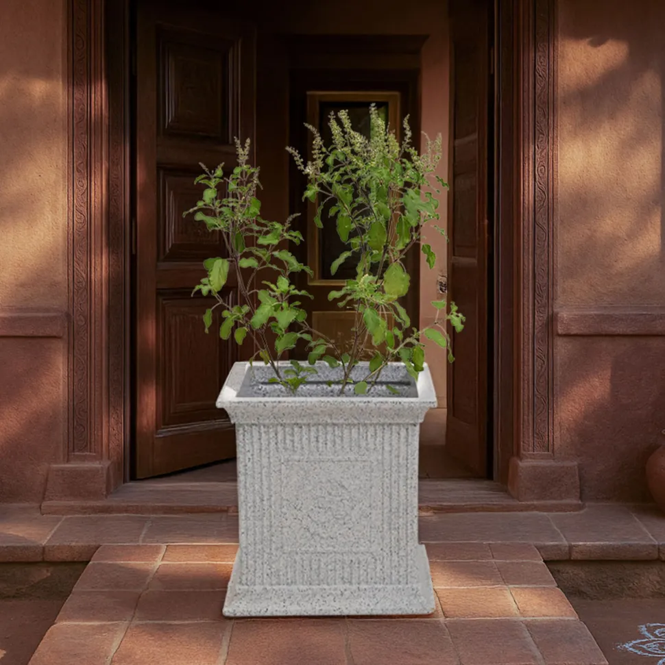 Tulsi Pot for Home