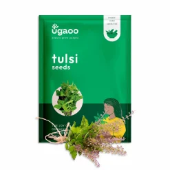 Tulsi Seeds (Holy Basil)