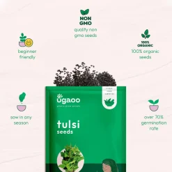 Tulsi Seeds (Holy Basil)