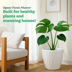 Tunis Planter- Set of 3
