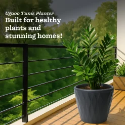Tunis Planter- Set of 3