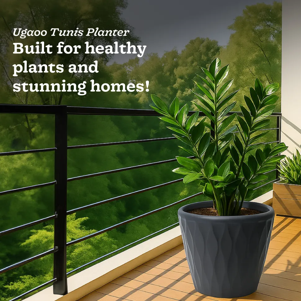 Tunis Planter- Set of 3