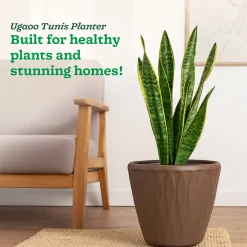 Tunis Planter- Set of 3