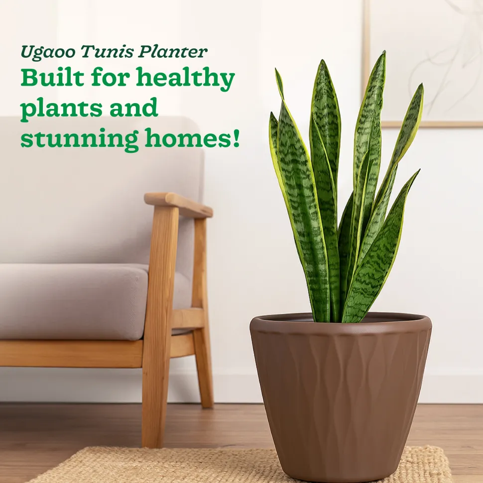 Tunis Planter- Set of 3