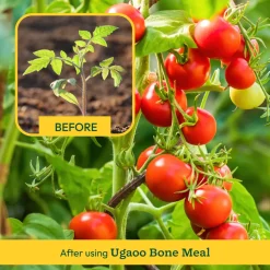 Ugaoo Bone Meal - 1 kg