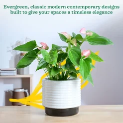Untold stories Ceramic Planter