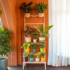 Verdant Metal Plant Stand