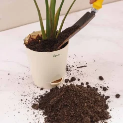 Vermicompost