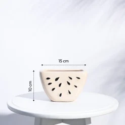 Watermelon Ceramic Planter (5.5 Inch Width)